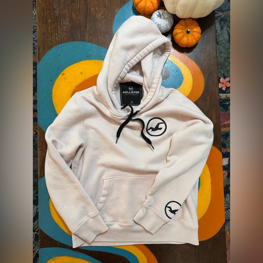 Hollister pastel pink palm leaf Hoodie